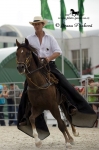 Název souboru=_IPA8583.jpg
Velikost souboru=96KB
Rozměry=533x800
Datum přidání=01. Červenec 2009 _IPA8583.jpg
