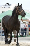 Název souboru=_IPA8811.jpg
Velikost souboru=92KB
Rozměry=533x800
Datum přidání=01. Červenec 2009 _IPA8811.jpg
