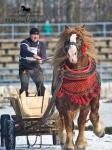 Název souboru=_IPA8855.jpg
Velikost souboru=361KB
Rozměry=600x800
Datum přidání=25. Leden 2010 _IPA8855.jpg