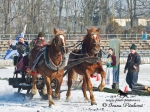 Název souboru=_IPA8858.jpg
Velikost souboru=465KB
Rozměry=800x600
Datum přidání=25. Leden 2010 _IPA8858.jpg