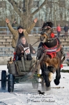 Název souboru=_IPA8891.jpg
Velikost souboru=365KB
Rozměry=532x800
Datum přidání=25. Leden 2010 _IPA8891.jpg