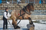 Název souboru=_IPA8929.jpg
Velikost souboru=323KB
Rozměry=800x533
Datum přidání=25. Leden 2010 _IPA8929.jpg