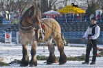Název souboru=_IPA8991.jpg
Velikost souboru=371KB
Rozměry=800x533
Datum přidání=25. Leden 2010 _IPA8991.jpg