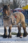 Název souboru=_IPA8993.jpg
Velikost souboru=352KB
Rozměry=533x800
Datum přidání=25. Leden 2010 _IPA8993.jpg