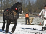 Název souboru=_IPA8994.jpg
Velikost souboru=346KB
Rozměry=800x600
Datum přidání=25. Leden 2010 _IPA8994.jpg
