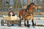 Název souboru=_IPA9063.jpg
Velikost souboru=406KB
Rozměry=800x534
Datum přidání=25. Leden 2010 _IPA9063.jpg