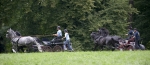 Název souboru=_IPA9393.jpg
Velikost souboru=271KB
Rozměry=800x348
Datum přidání=03. Červenec 2009 _IPA9393.jpg