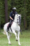 Název souboru=_IPA9599.jpg
Velikost souboru=276KB
Rozměry=533x800
Datum přidání=03. Červenec 2009 _IPA9599.jpg