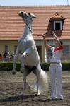 Název souboru=_IPA9900.jpg
Velikost souboru=326KB
Rozměry=533x800
Datum přidání=28. Červenec 2009 _IPA9900.jpg