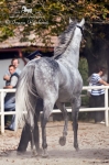 Název souboru=foto_Pankova_002057.jpg
Velikost souboru=192KB
Rozměry=533x800
Datum přidání=25. Září 2009 foto_Pankova_002057.jpg
